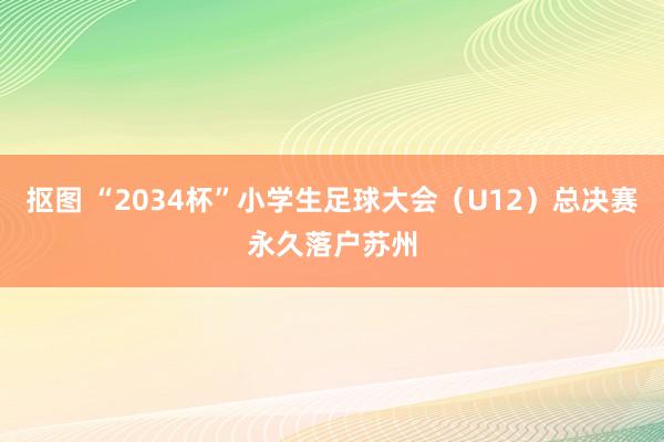 抠图 “2034杯”小学生足球大会（U12）总决赛永久落户苏州