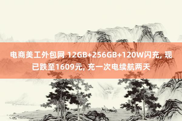 电商美工外包网 12GB+256GB+120W闪充, 现已跌至1609元, 充一次电续航两天